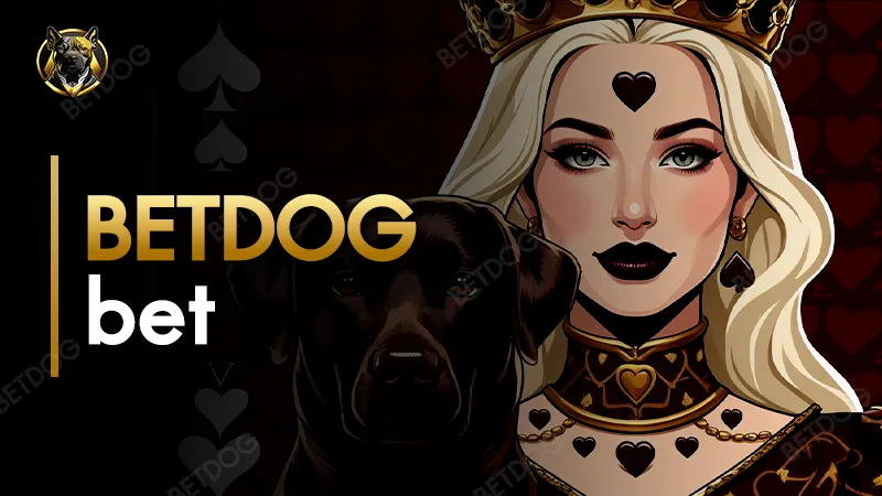 BETDOG bet